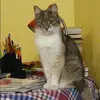 Отзыв от Пелагея Козырева
